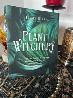 Witchery Hardcover with Cream and Dark Green Cover